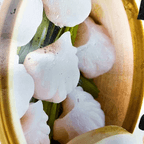 Best Shrimp Dumplings (7) in Boulder, CO